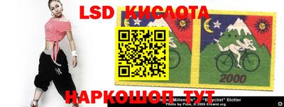 spice Бийск