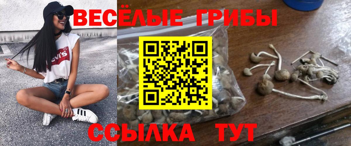 Псилоцибиновые грибы Psilocybe Качканар