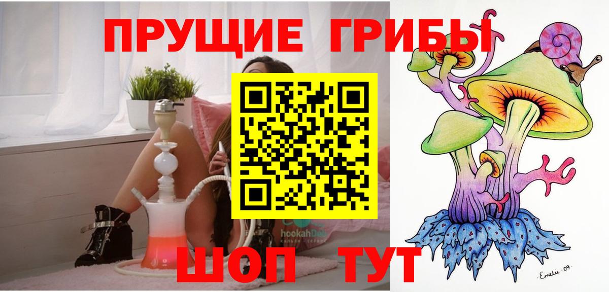 Галлюциногенные грибы Psilocybine cubensis  Вход с VPN  Качканар  Псилоцибиновые грибы Psilocybe 